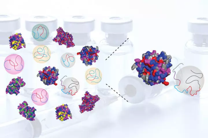 A mix of natural proteins (complex models) and new simplified synthetic proteins (threads inside spheres) could work together to improve on the natural proteins' functions