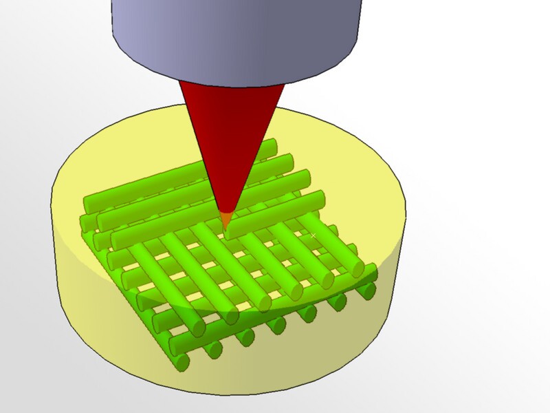 3D Photografting (Image: Vienna University of Technology)
