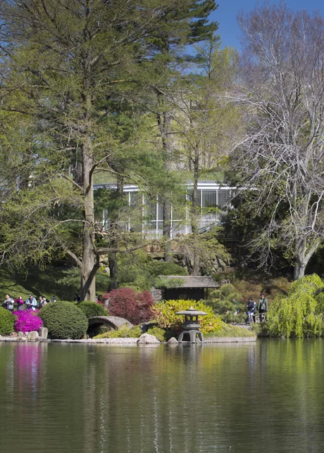 Close to 60,000 plants have been installed around the building, seamlessly blending the visitor center into the green tapestry of the garden