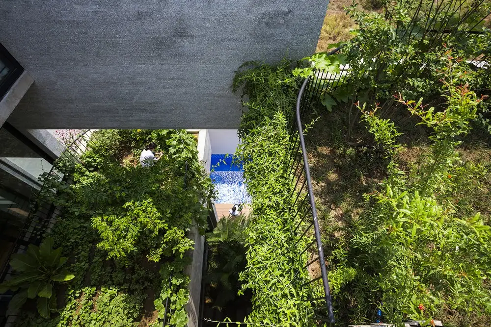 Binh House has lots of greenery on the inside and outside