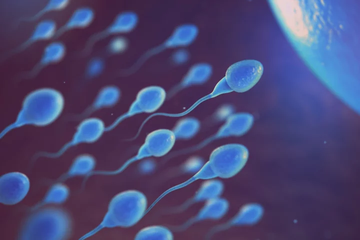 A thorough, yet observational, study found tight underwear does correlate with lower sperm counts, but not to a point where they are below a normal range