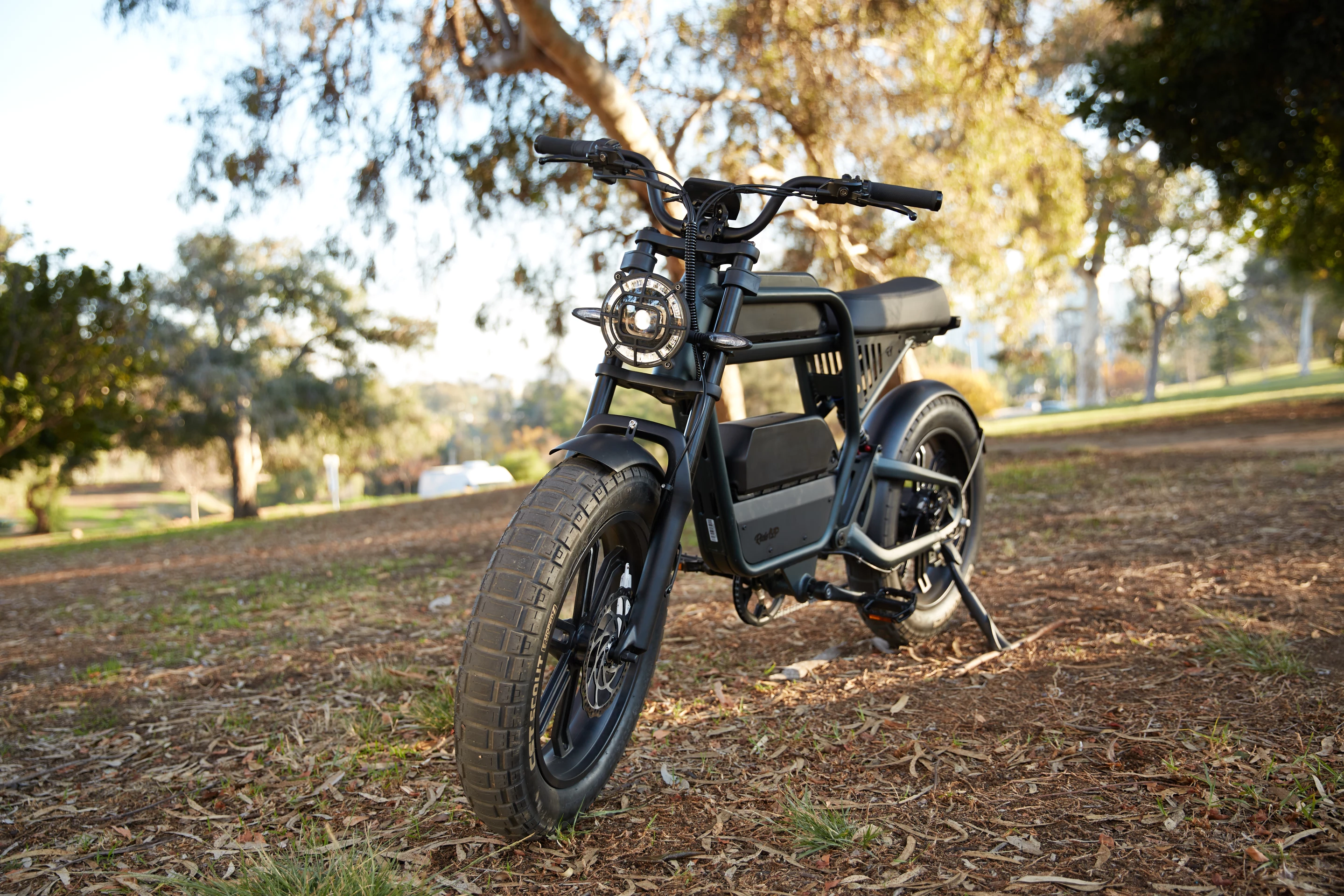 Looks like the Revv 1 Class 2 ebike can carry a second battery