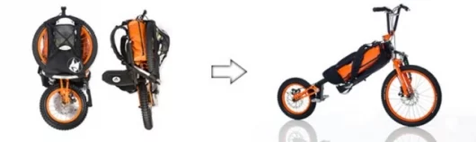 Click image to enlargeImage: Bergmonch