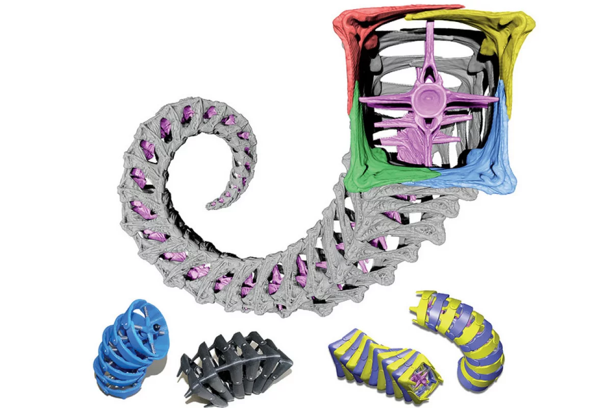 3D models of a seahorse tail tested for possible engineering uses