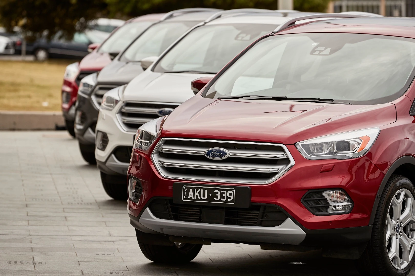 2017 Ford Escape: lined up at the Sydney press launch