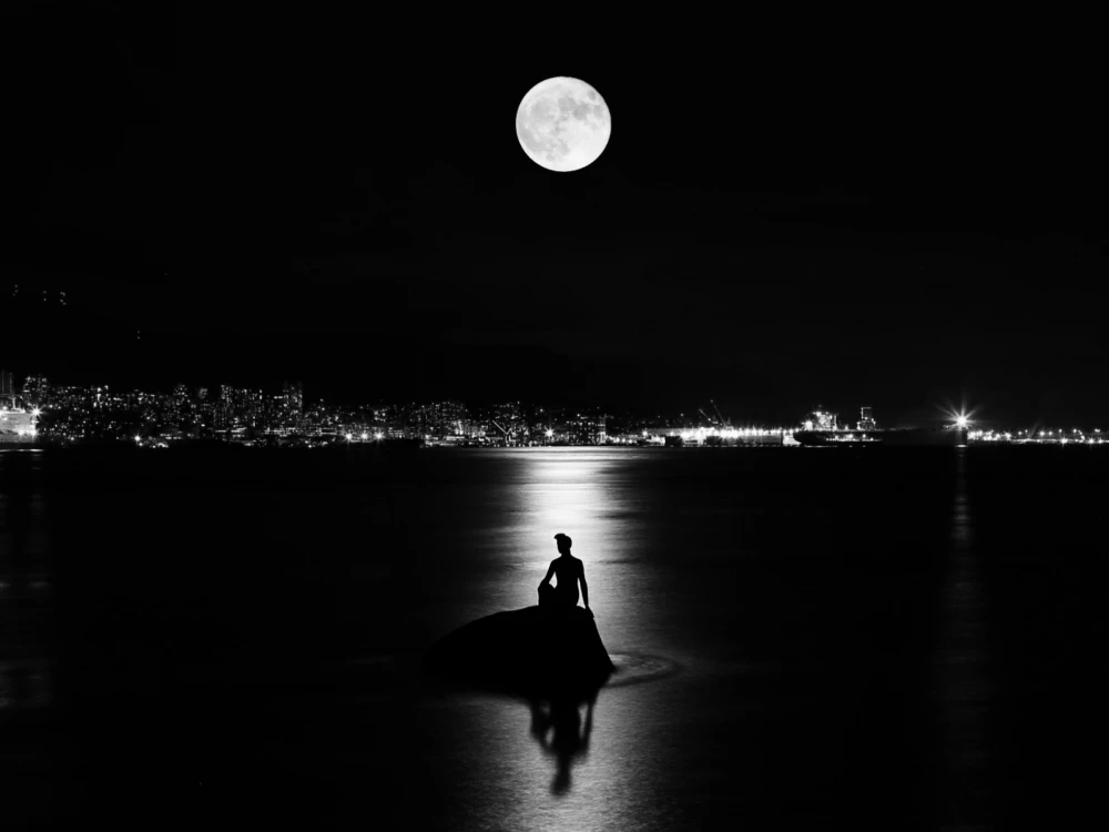 Nominee, Professional, Night Photography. Super Moon