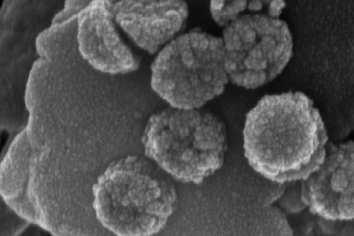 New water-purifying synthetic nanoscavengers can be removed from water magnetically (Photo: Mingliang Zhang, Stanford School of Engineering)