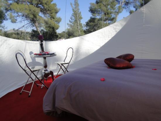 A hotel in France is offering guests the chance to stay in fully-furnished, clear-plastic bubbles and sleep amongst nature