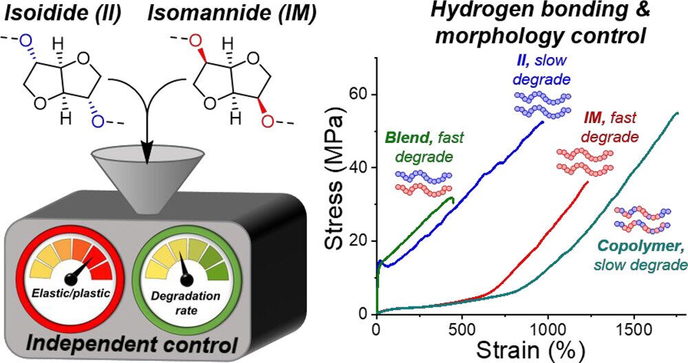 Diagram depicts the structure and characteristics of the sugar-based building blocks behind a new plastics breakthrough