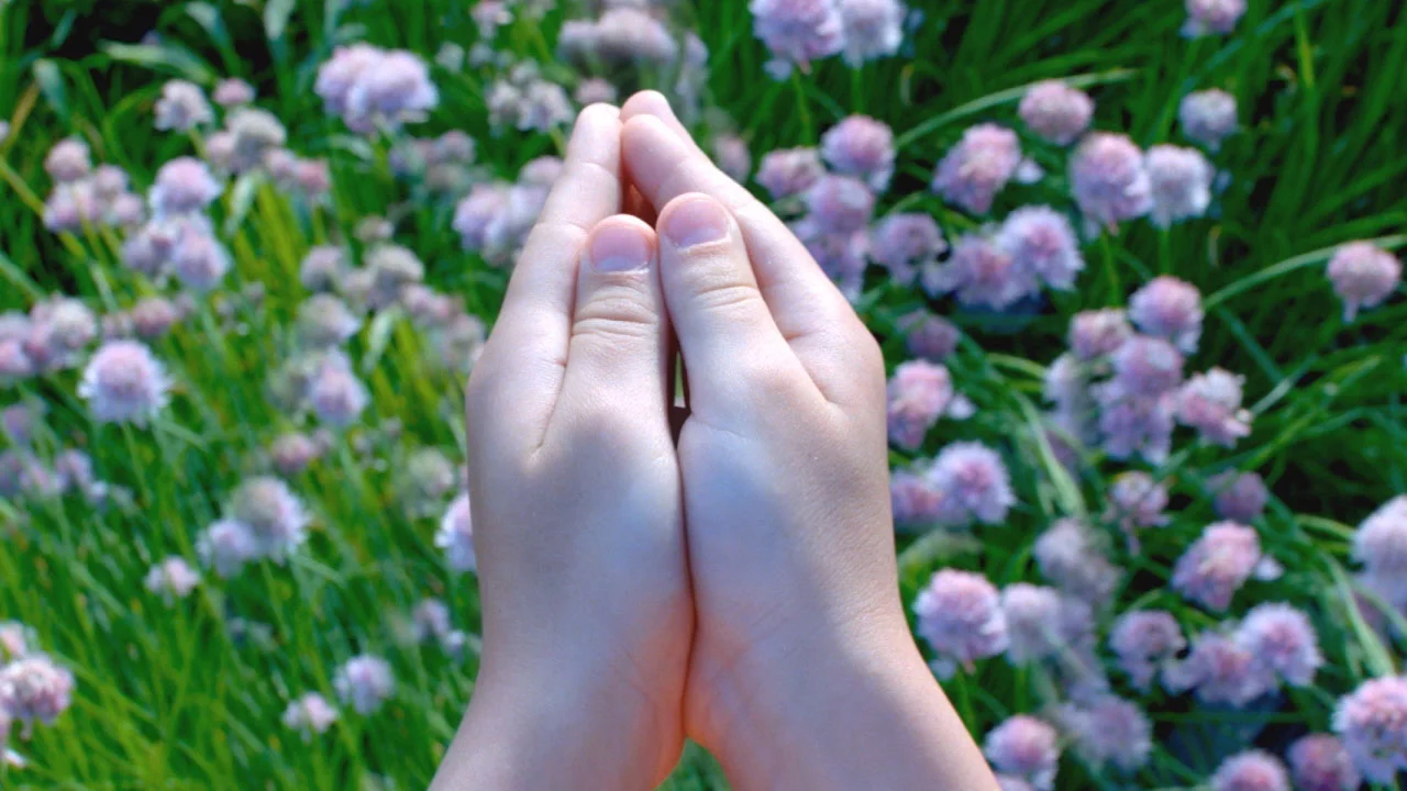 Magic Leap is gradually letting us peak a little closer at what lies inside its hands