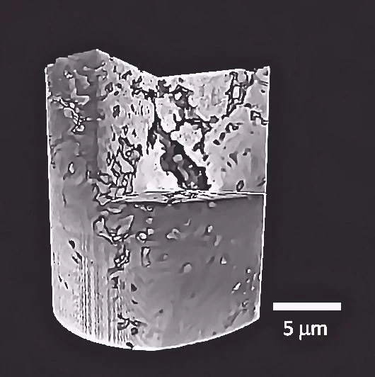 3D X-ray image of a twenty micron lithium-ion battery electrode (Image: Brookhaven National Laboratory)