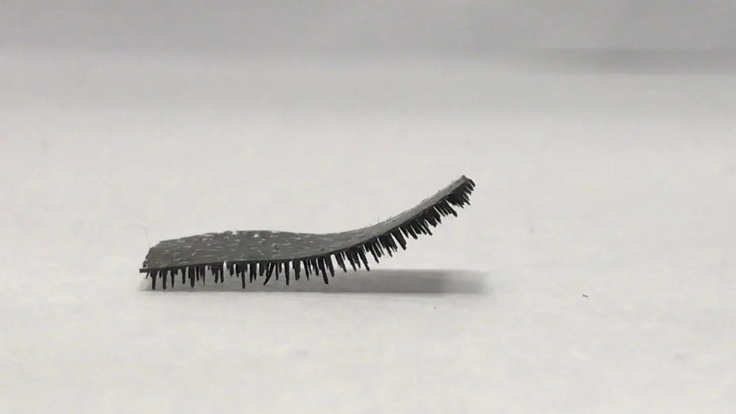 The new robot crawls along like a caterpillar on hundreds of tiny legs