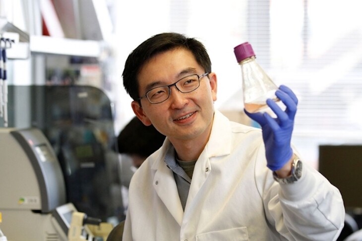 Assistant professor of dermatology at Stanford University Kevin Wang has helped discover a protein that could replenish stocks of embryonic stem cells