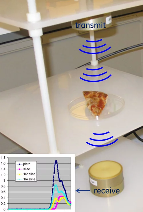 Webster and his team are now working on sensing systems that could ascertain a food item's fat and water content by subjecting it to microwaves, then analyzing the signature of the waves that pass through