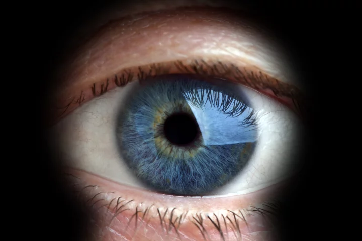 In a series of bombshell leaks, the extent of the US government's alleged spying on Americans has been revealed (image: Shutterstock)