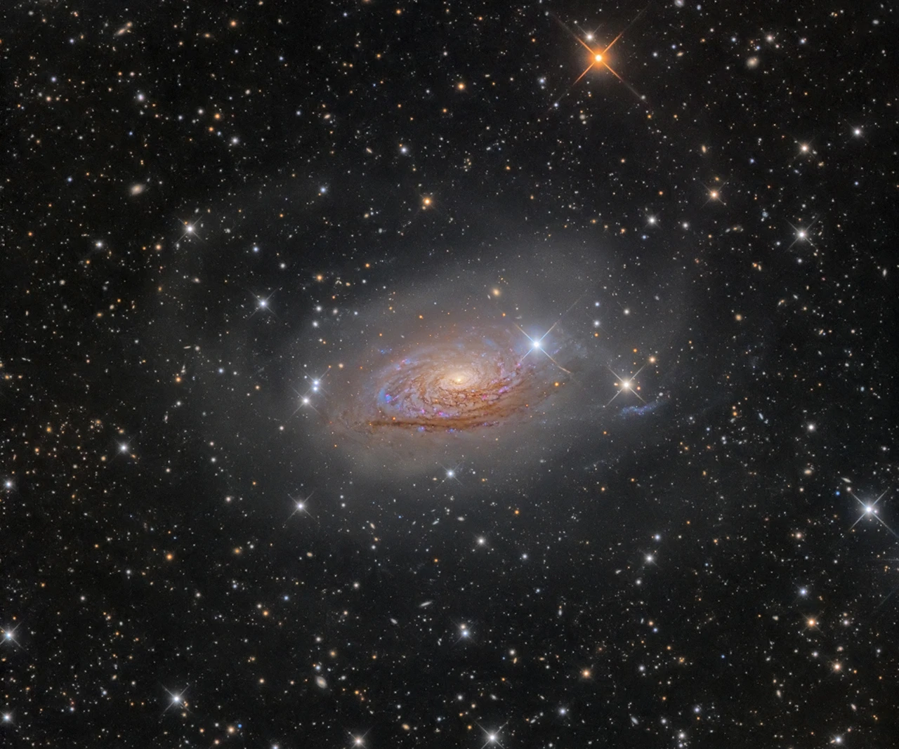Winner of the Best Galaxy photograph at the Insight Astronomy Photographer of the Year 2017 competition – M63: Star Streams and the Sunflower Galaxy
