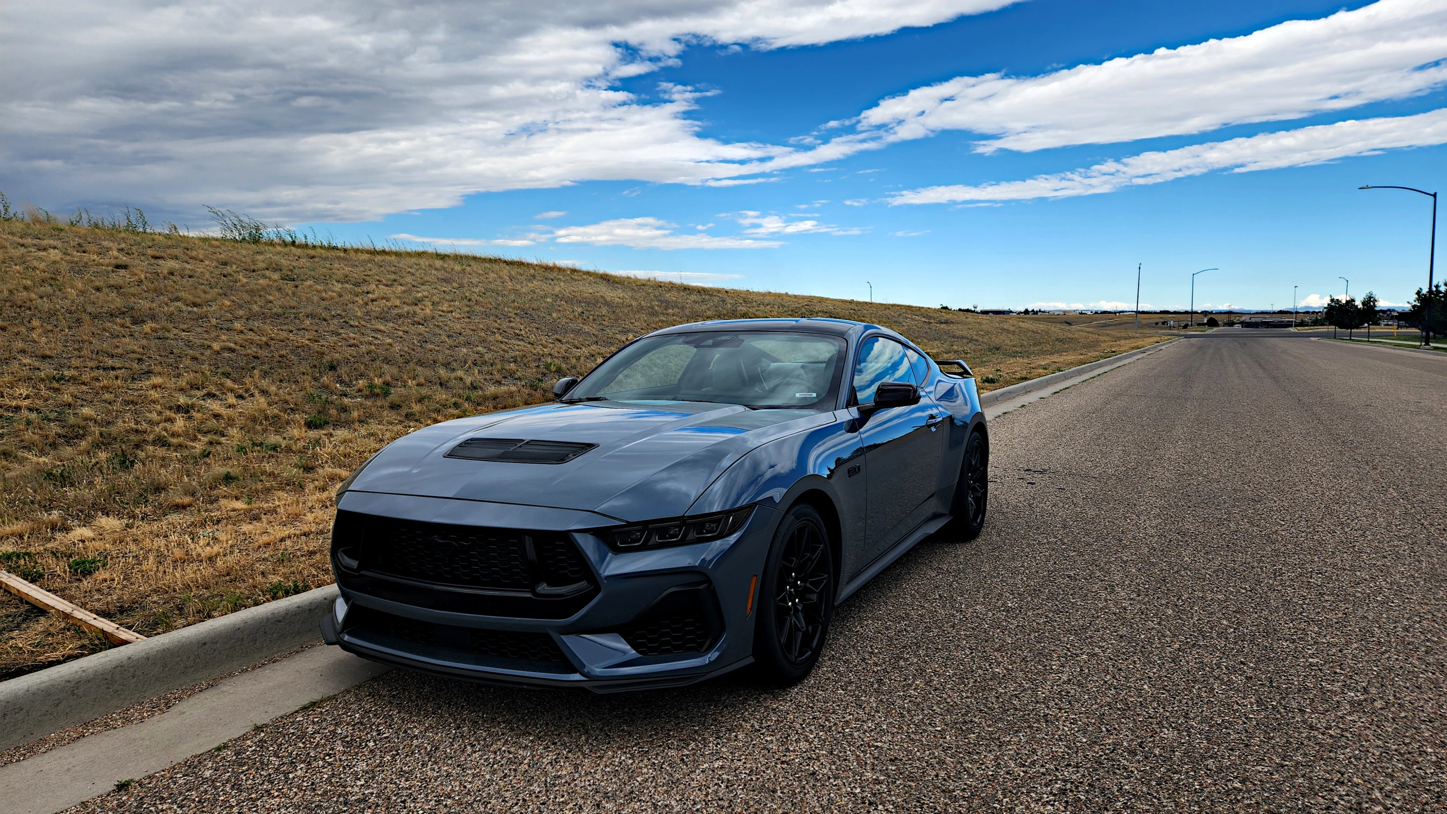 The Ford Mustang is the last American muscle car still offering a V8 powerplant. All of the others are gone