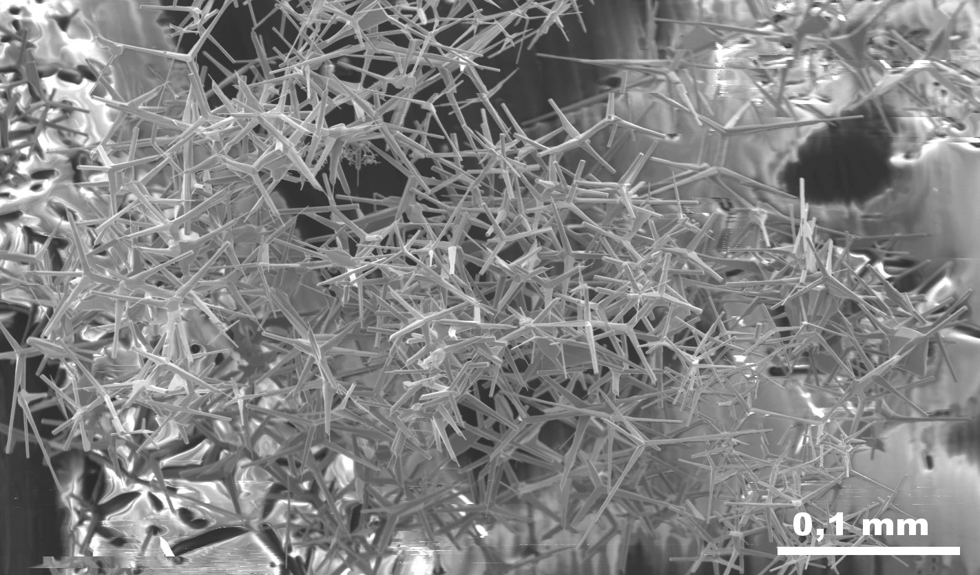 A tangle of zinc oxide tetrapods suggests how unglueable surfaces can be held together through mechanical interaction (Image: Xin Jin, Copyright CAU)