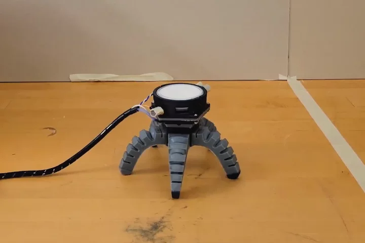 A spider-shaped biohybrid robot is driven by natural impulses from a fungus