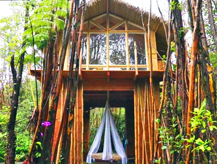 Kristie Wolfe's tiny vacation home in Hawaii (Photo: Kristie Wolfe)