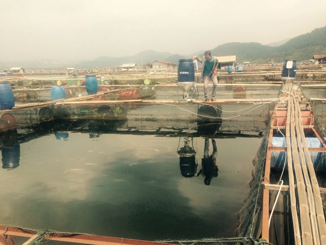Indonesia is one of the biggest seafood producers in the world, with 9.45 million tons of farmed seafood produced in 2012