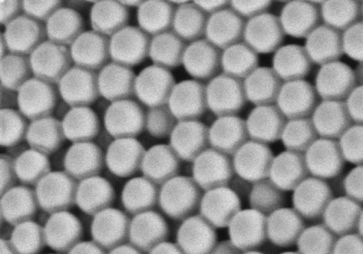 Under the microsope