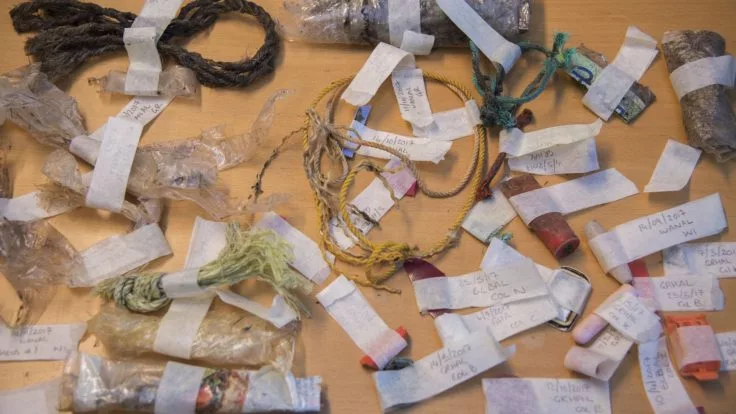 Plastic debris has been collected at Bird Island and Signy Island for the last three decades