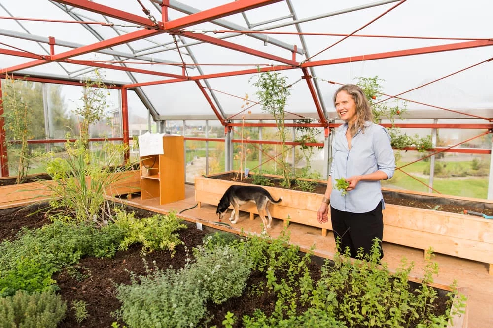 CHiBB House features a rooftop garden