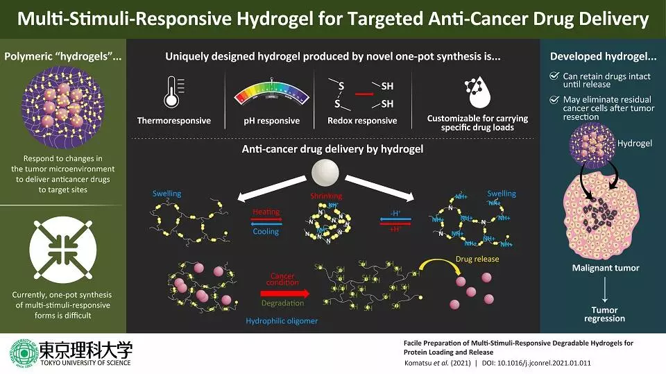 A diagram depicting the function of a hydrogel developed at Tokyo University of Science