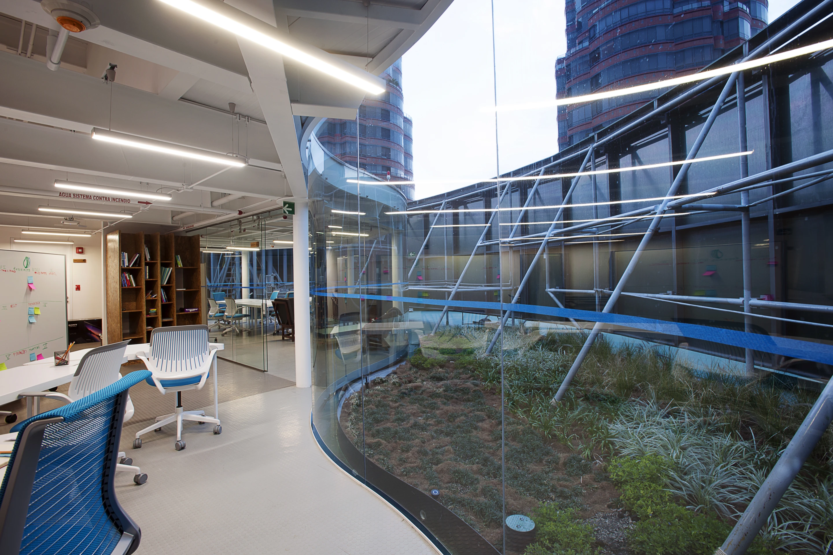 Windows surrounding the office provide natural lighting during daylight working hours (Credit: Jaime Navarro; Courtesy Rojkind Arquitectos)