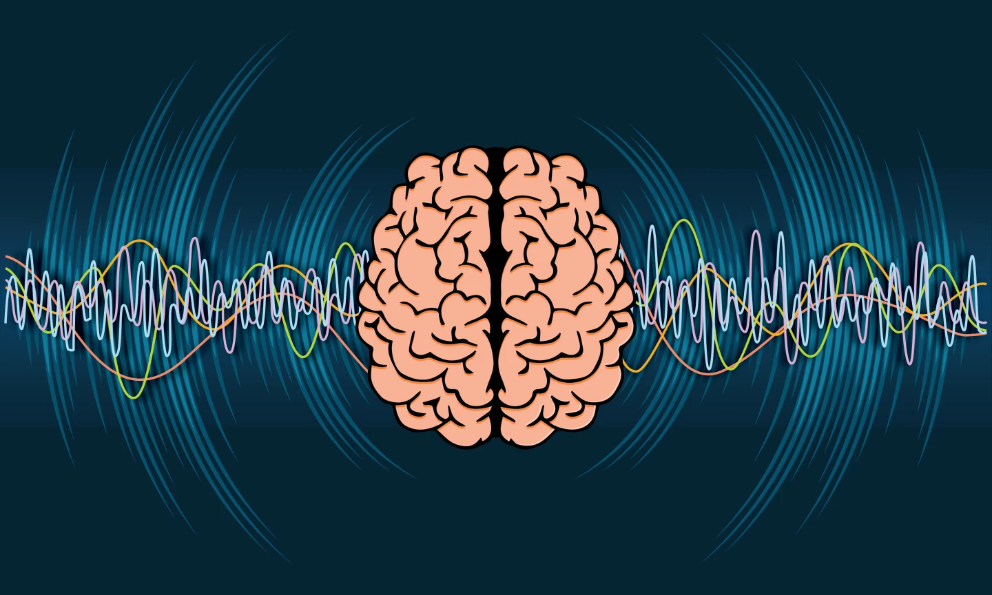 Scientists crack the code on how our brainwaves filter the noise of daily life