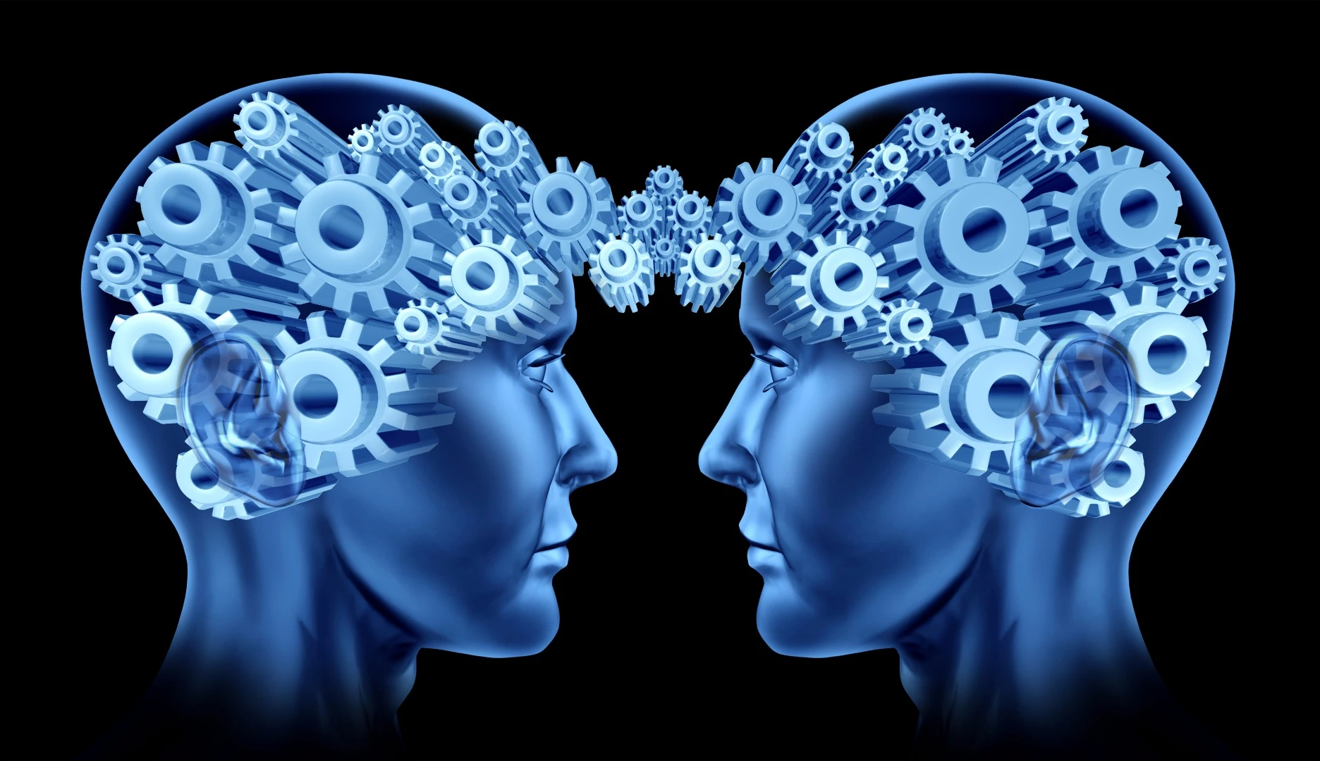 A simple conversation can lead to neural synchrony, according to new research