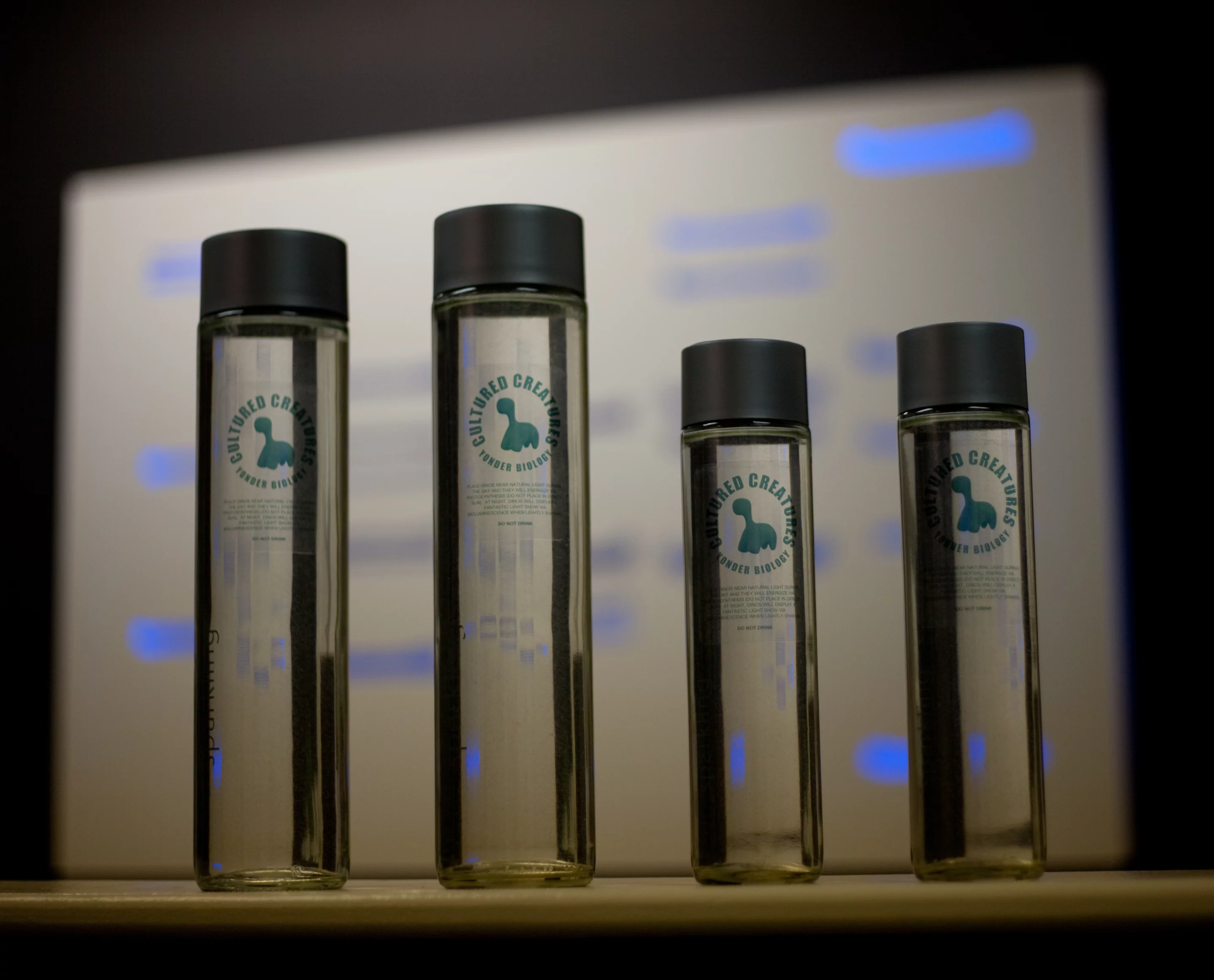 To produce its living night light, Yonder Biology first developed a method for growing about 300 liters (79 gallons) of dinoflagellates each year, which ensures it can maintain a steady supply