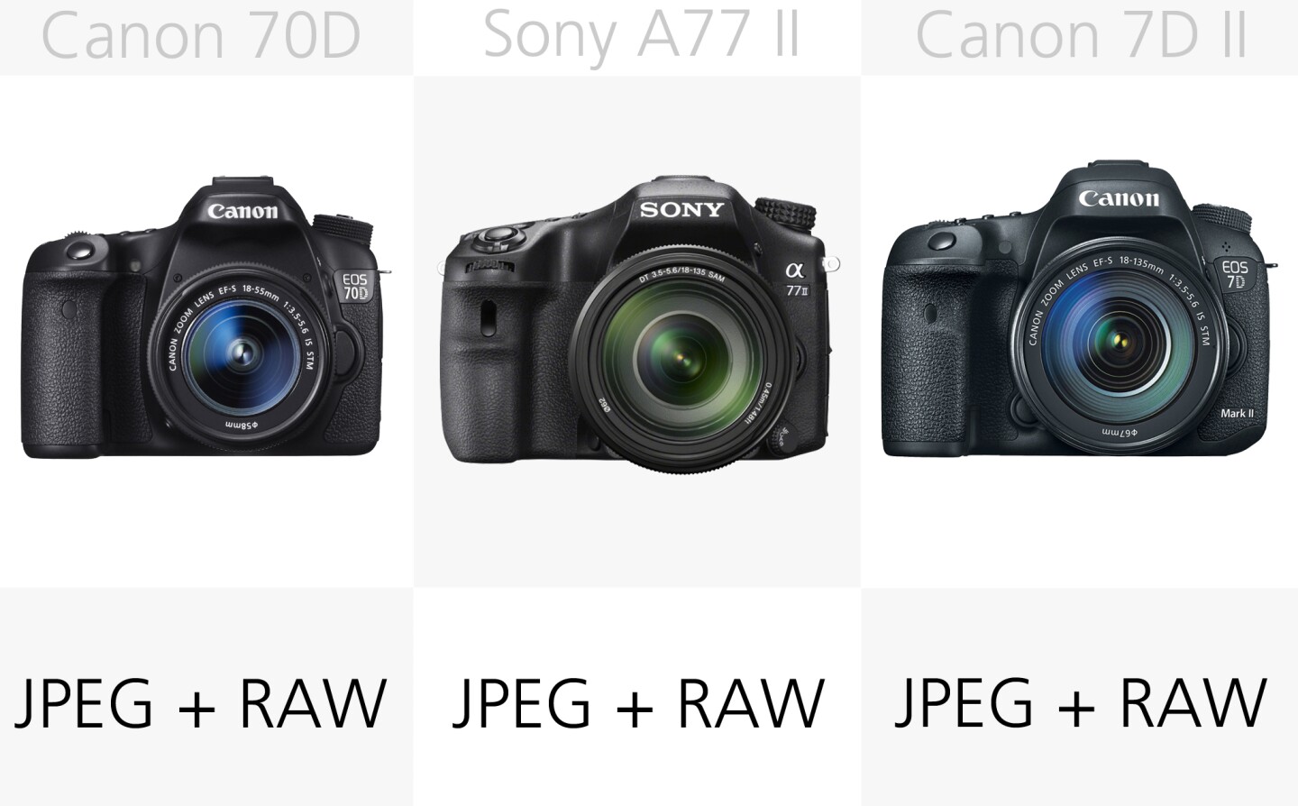 All of these DSLRs can shoot both JPEG and the more post-processing friendly RAW still files