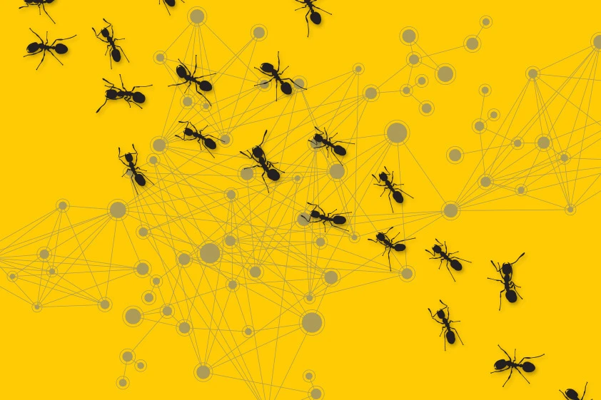 Ants inspire researchers once again