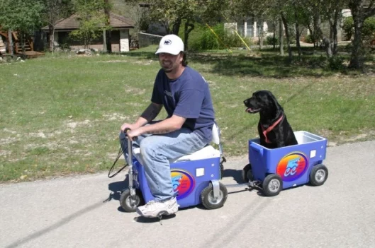 The Cruzin' Cooler carries everything from drinks to dogs