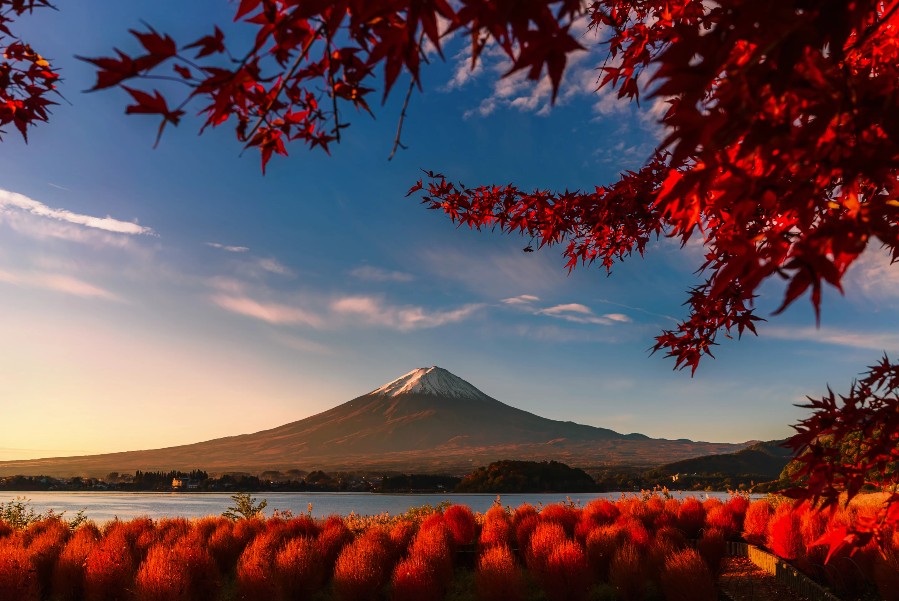 Winner, Thailand. "Red day". Kawaguchigo lake, Japan