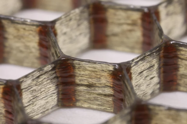 A new 3D-printed composite surpasses the lightness and stiffness of balsa wood (Photo: Harvard University)