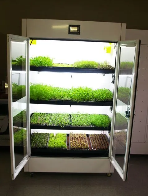 The commercial version of the Urban Cultivator, known as the Commercial Cultivator