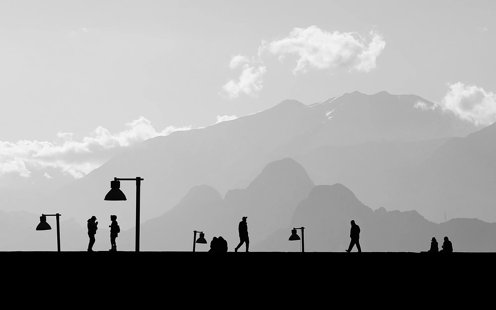 Remarkable Rewards, Single Photos: Streets. "Cartino"