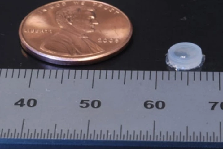 The 5-mm implant, right, can monitor how a tumour responds to treatmentPhoto credit: Michael Cima