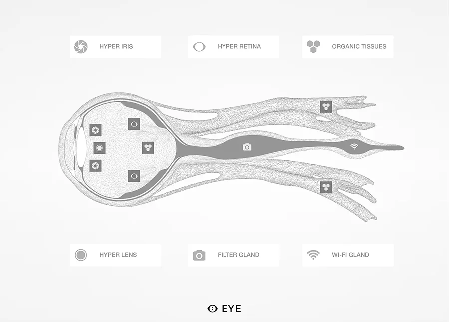 Enhancements to the eye structure allow embedded glands for transmitting wireless data or applying filters to your vision