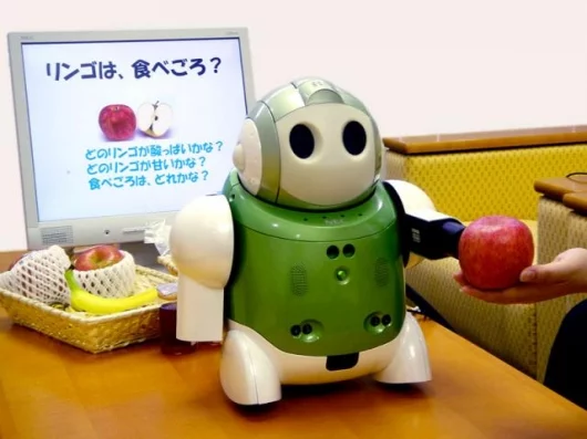 The Health Food Advisor Robot of 2005