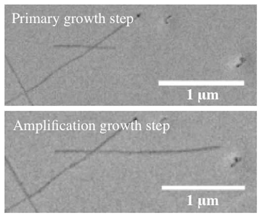 A single carbon nanotube before and after amplification (Image: Barron Lab/Rice University)