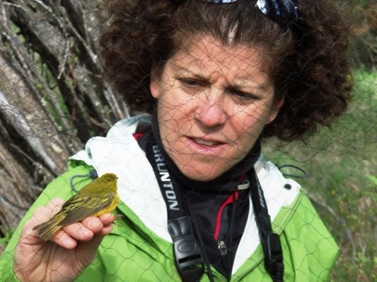 Earthwatch's "Songbirds of the Tetons" expedition (Photo: Heather Pruiksma)