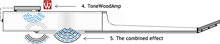 The acoustic guitar's natural sound is combined with effects from the ToneWoodAmp