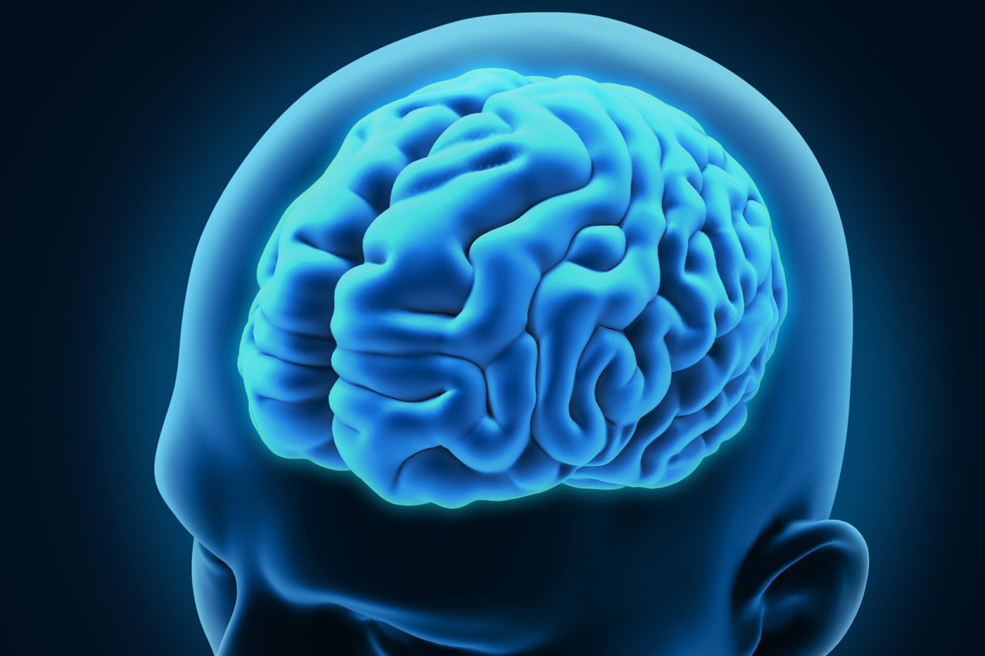 Мозг на белом фоне. Мозг и его деятельность. Симметрия мозга человека. Мозг и его деятельность. Красивый мозг.