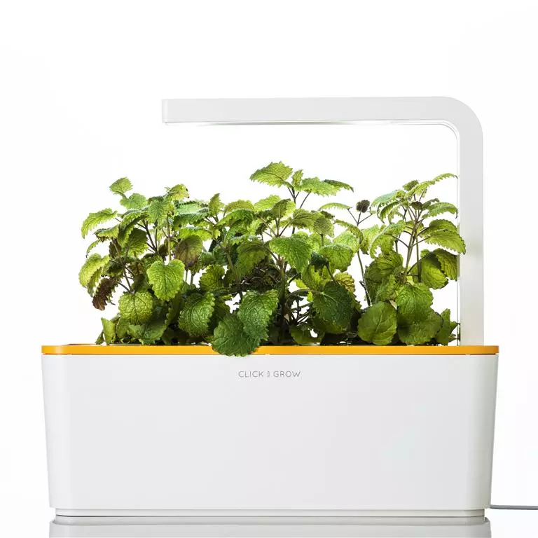 The Smart Herb Garden is available to order on the Click and Grow website, retailing at US$99.95