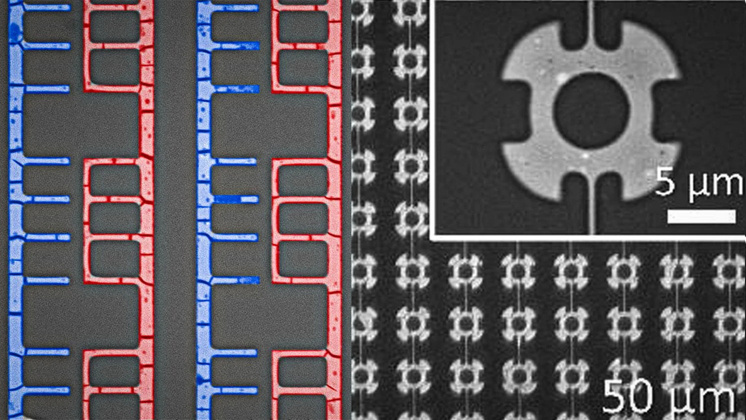 A new manufacturing technique has successfully "self-assembled" transistors, diodes and wires at the nanoscale