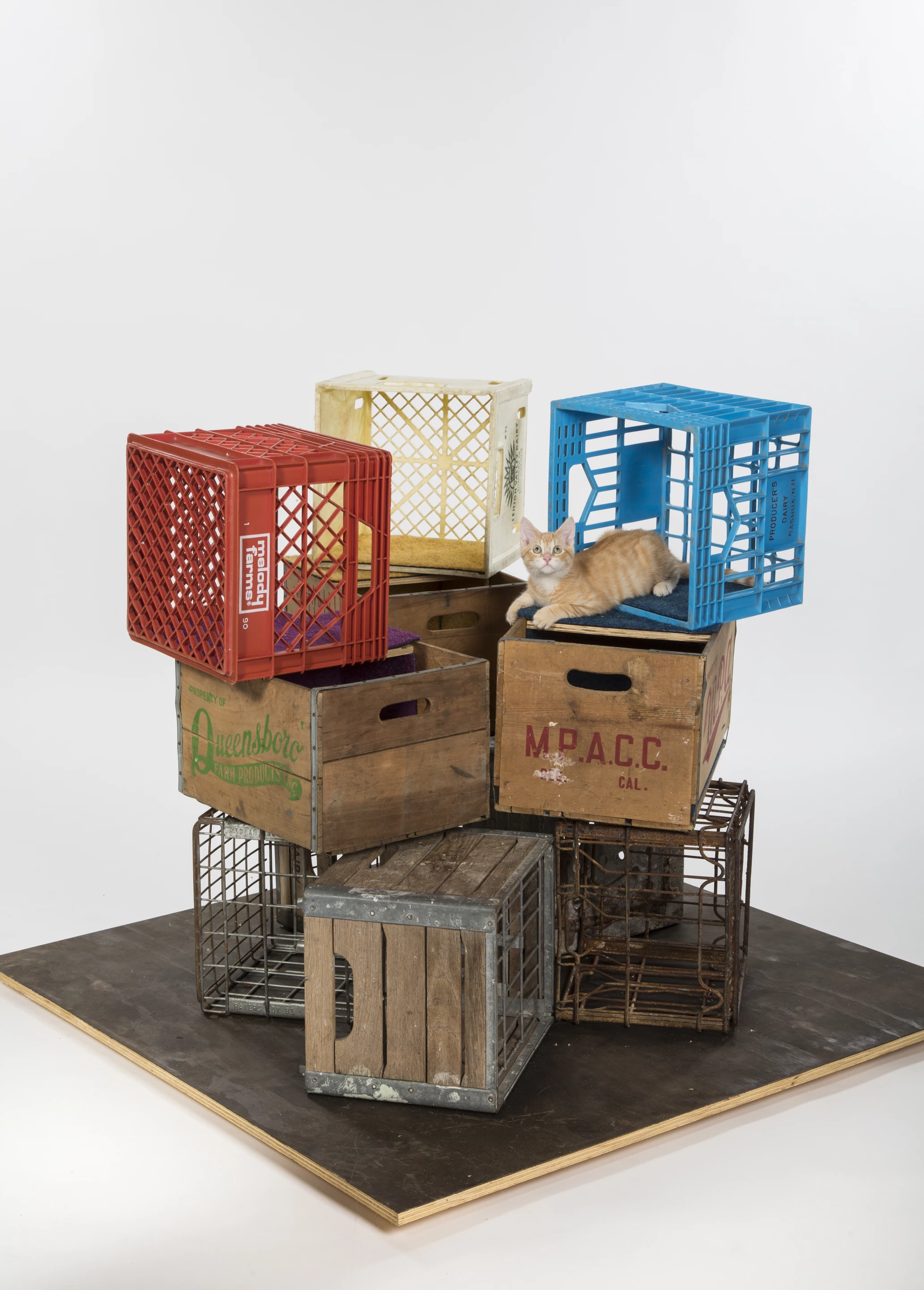 This unnamed project by d3architecture turns an assortment of vintage milk crates into a shelter for multiple cats